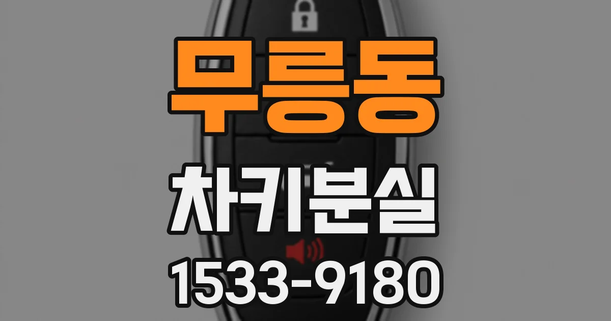 무릉동 차키분실