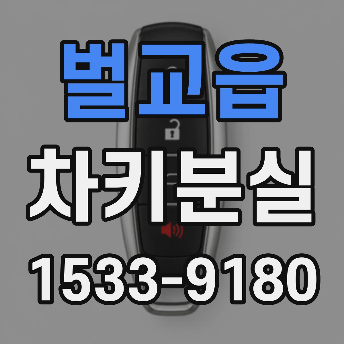 벌교읍 차키분실
