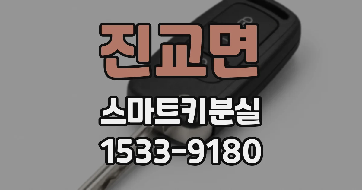 진교면 스마트키분실