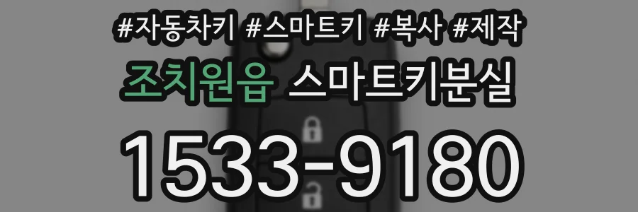 조치원읍 스마트키분실