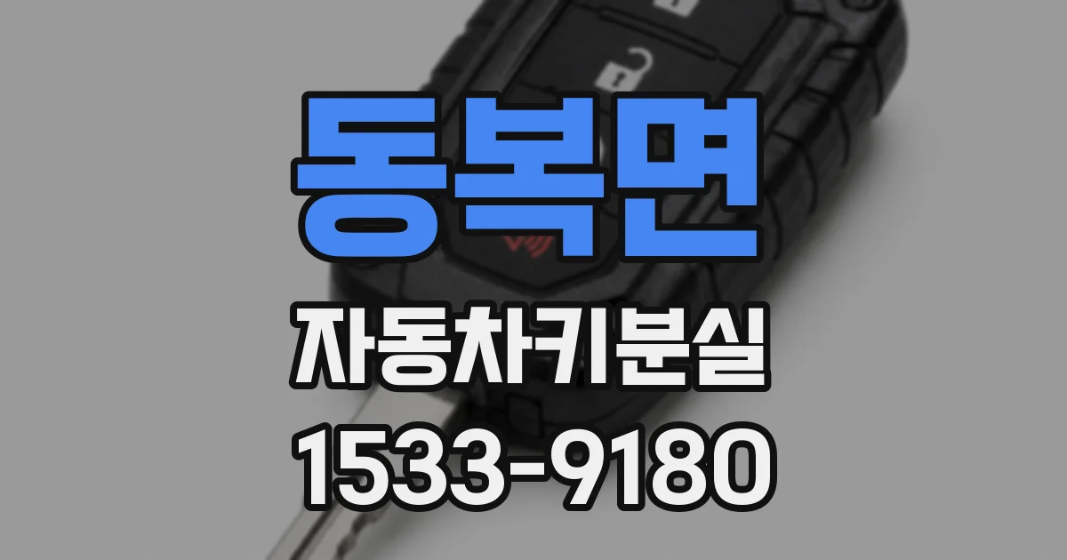 동복면 자동차키분실