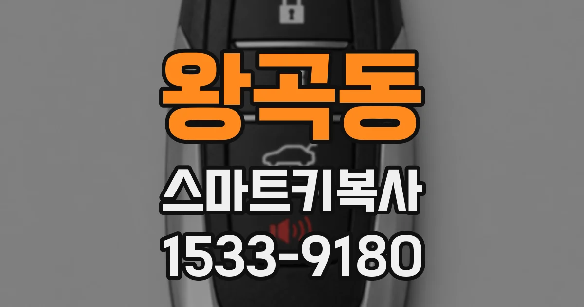 왕곡동 스마트키복사