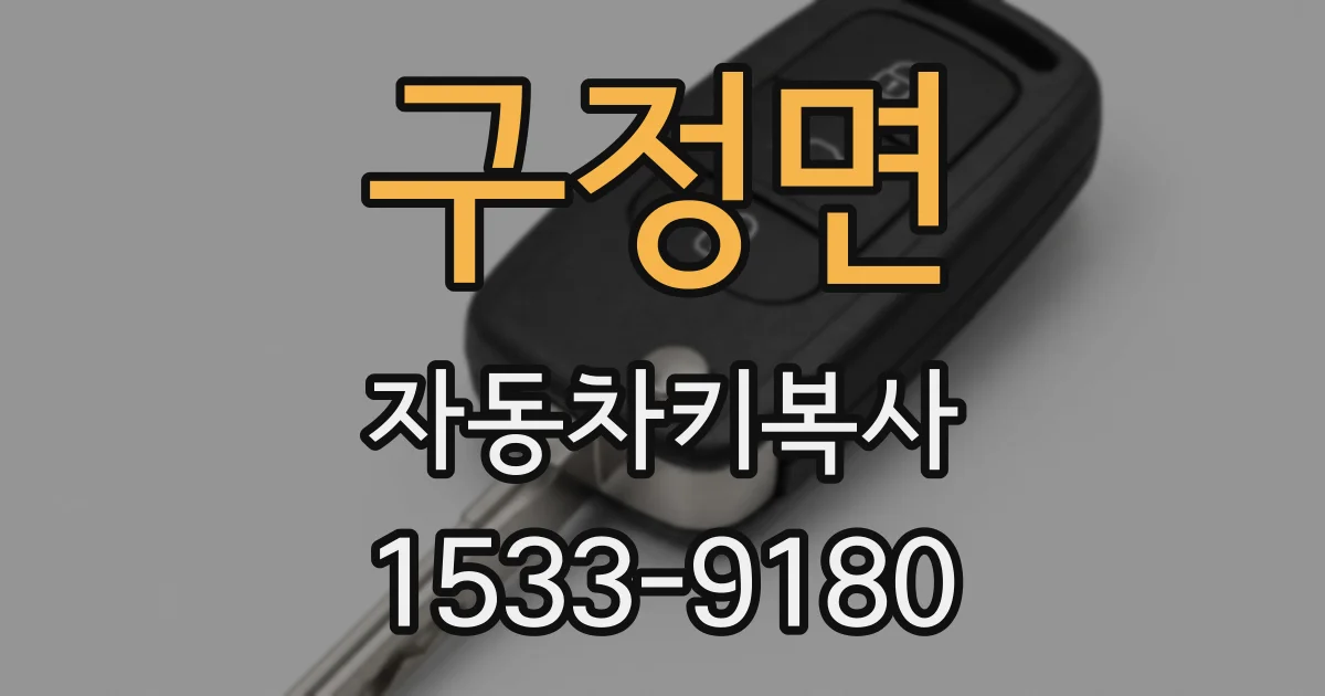 구정면 자동차키복사