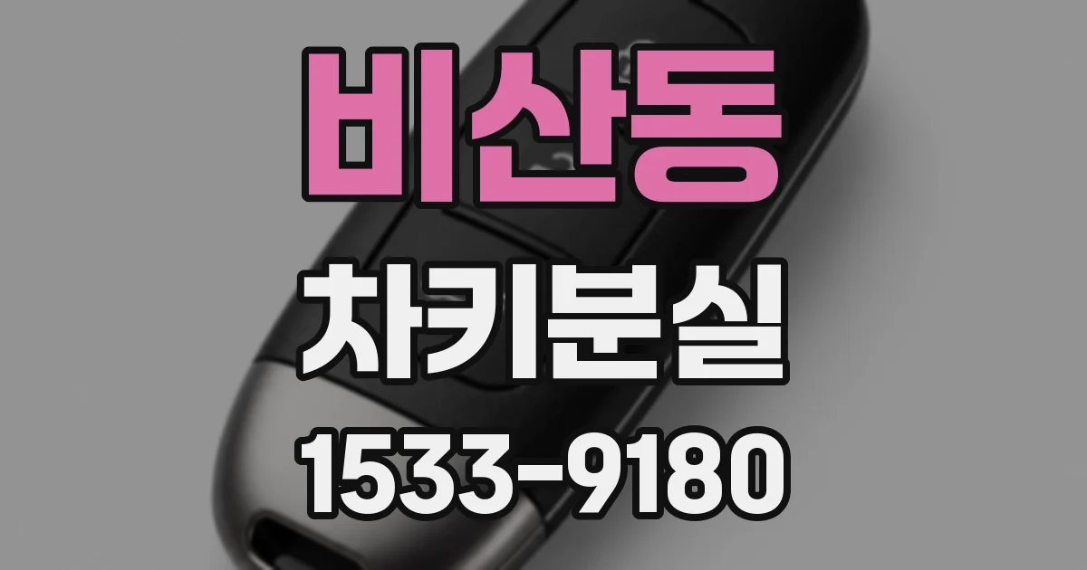 비산동 차키분실