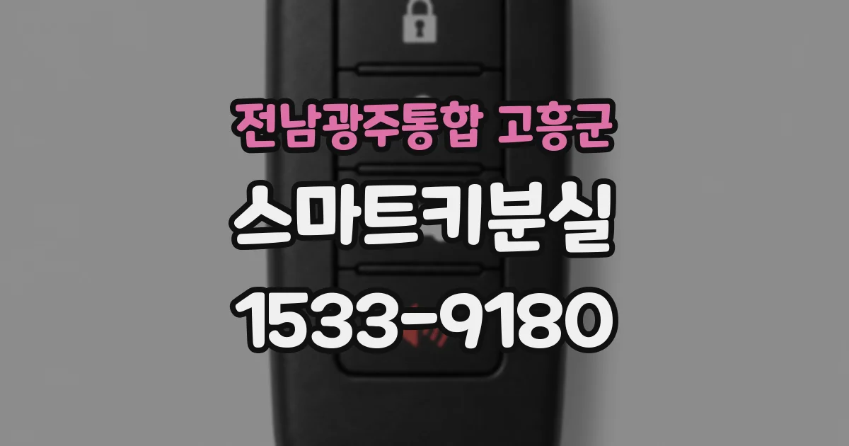 전남광주통합 고흥군 스마트키분실