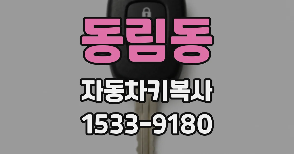 동림동 자동차키복사