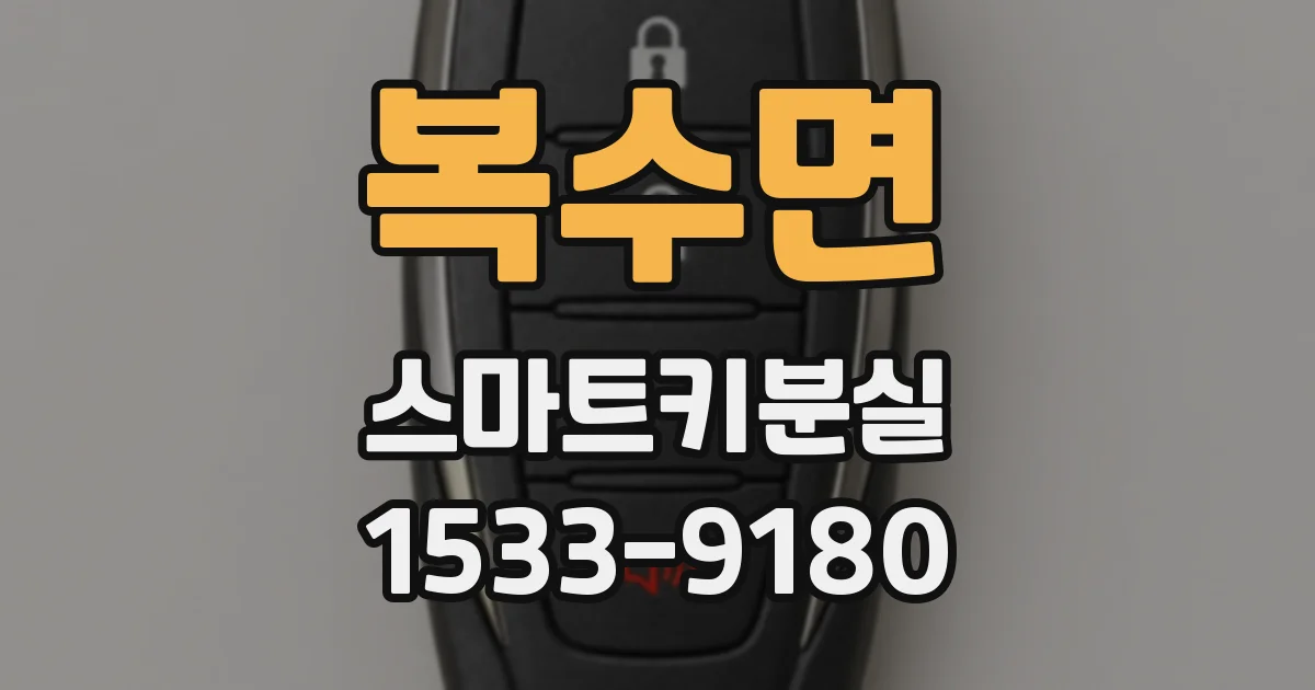복수면 스마트키분실