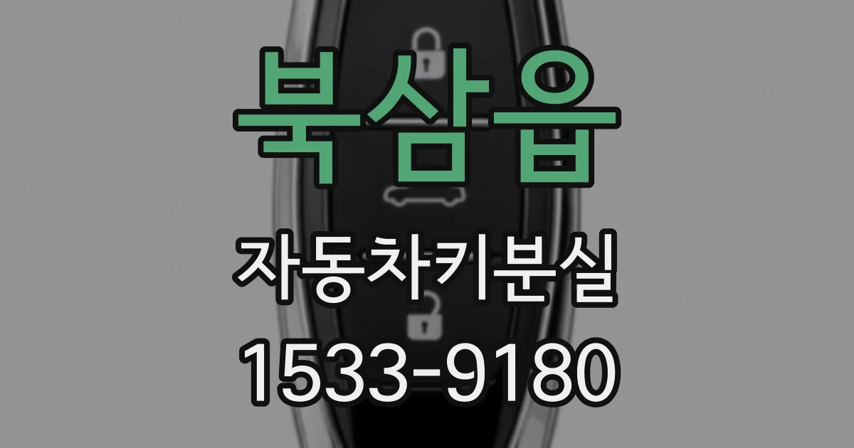 북삼읍 자동차키분실