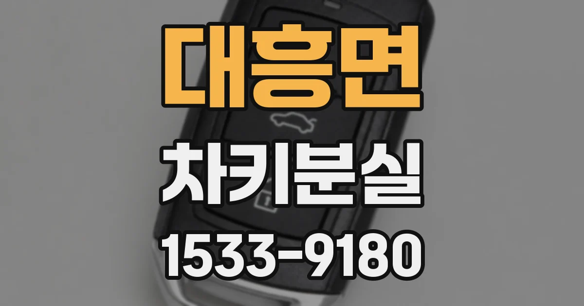 대흥면 차키분실