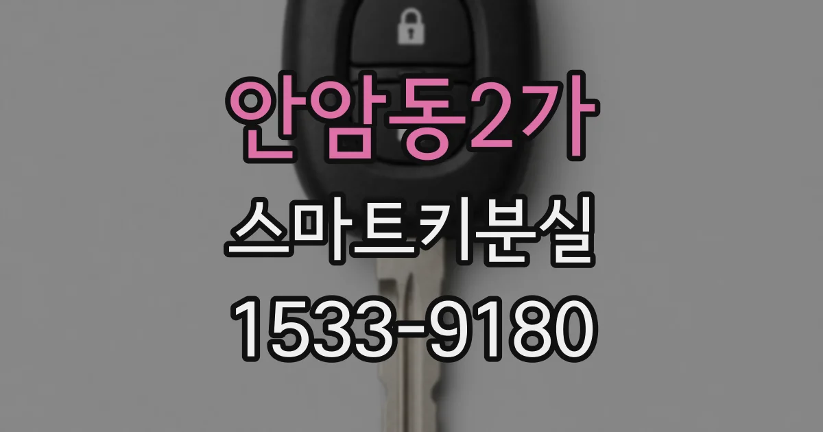 안암동2가 스마트키분실