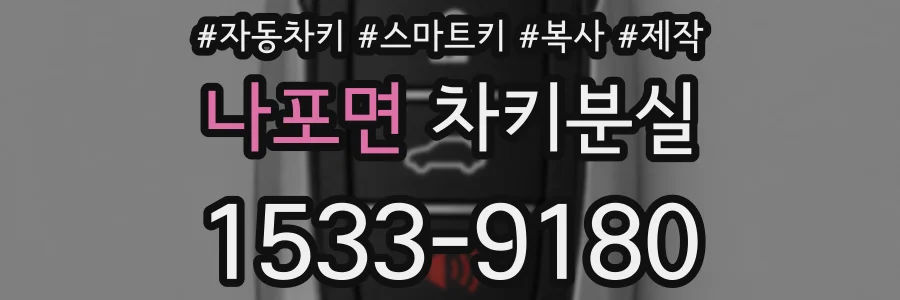 나포면 차키분실