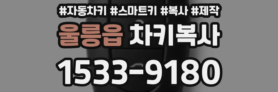 울릉읍 차키복사