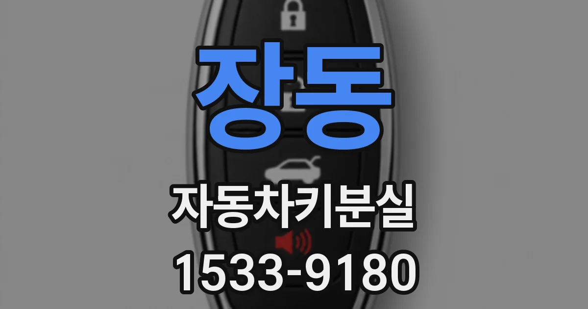 장동 자동차키분실