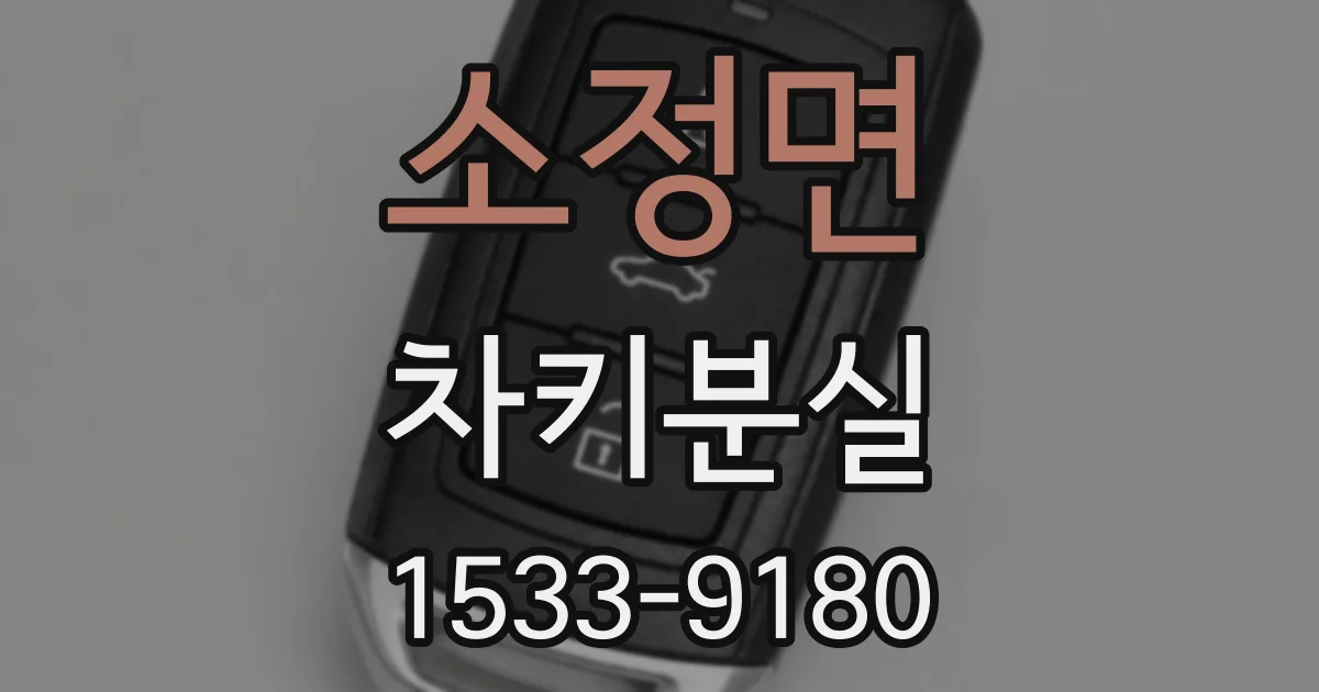 소정면 차키분실