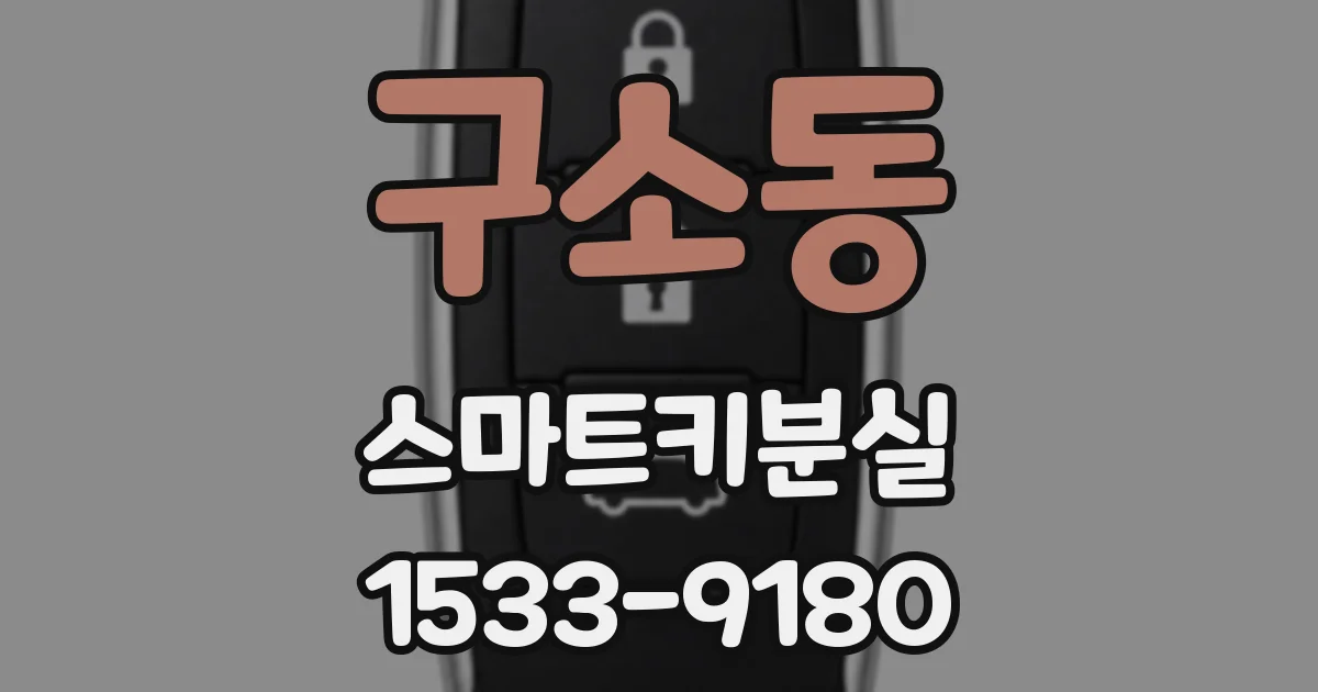 구소동 스마트키분실