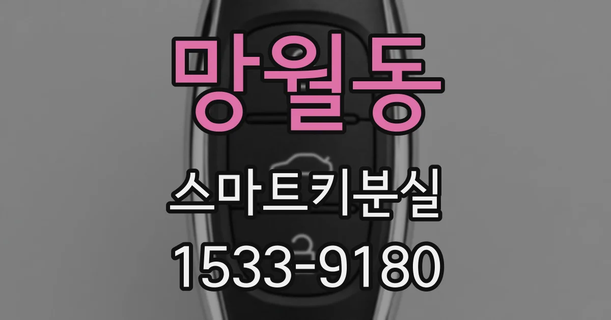망월동 스마트키분실