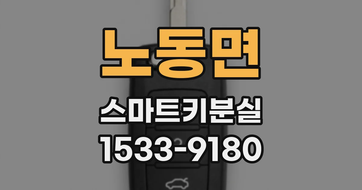 노동면 스마트키분실