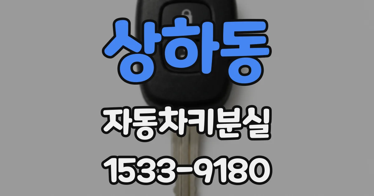 상하동 자동차키분실