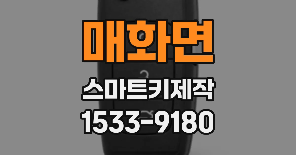 매화면 스마트키제작