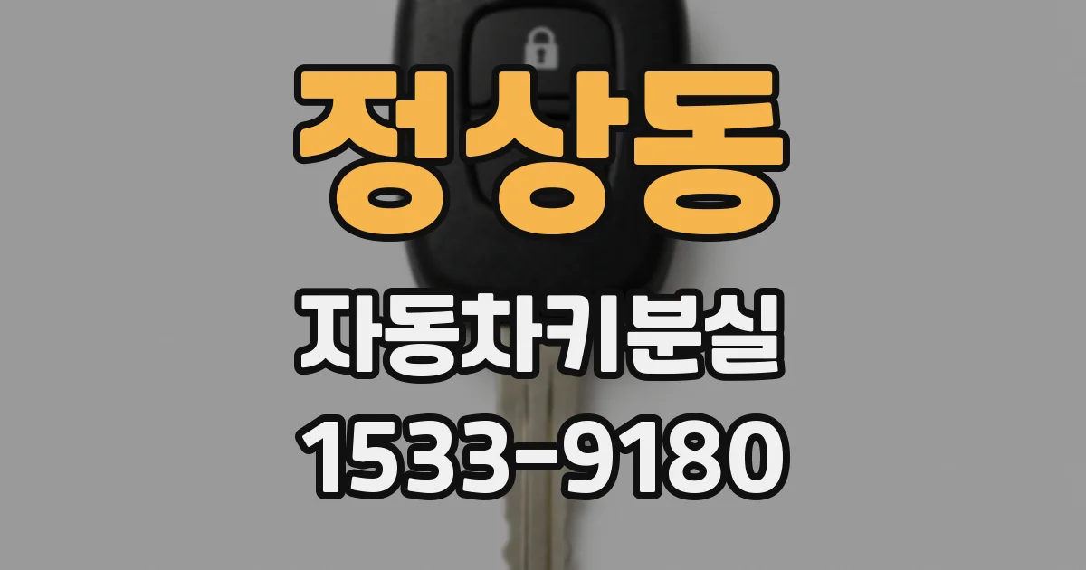 정상동 자동차키분실