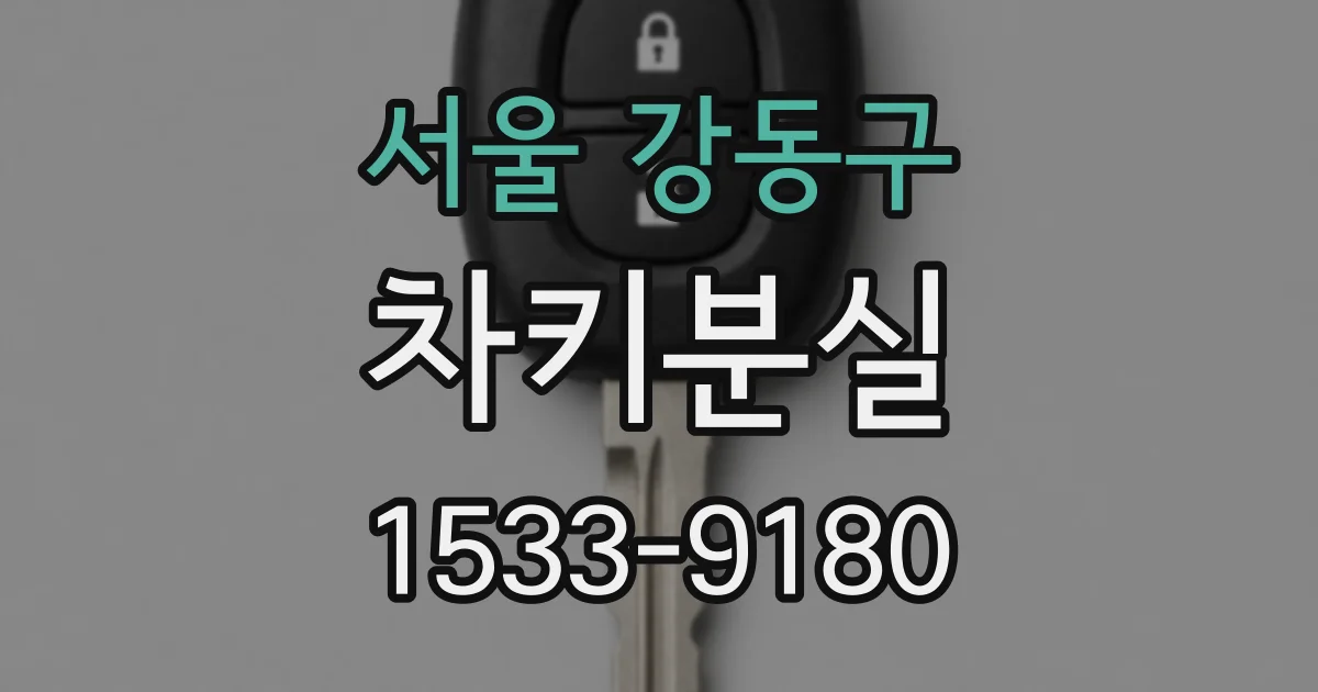 서울 강동구 차키분실