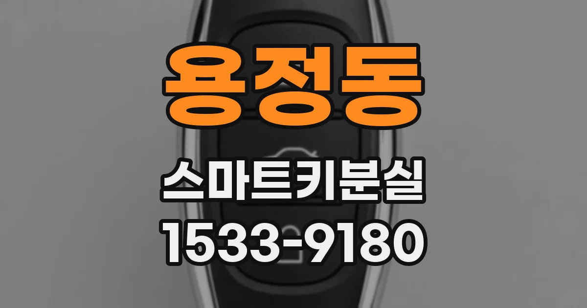 용정동 스마트키분실