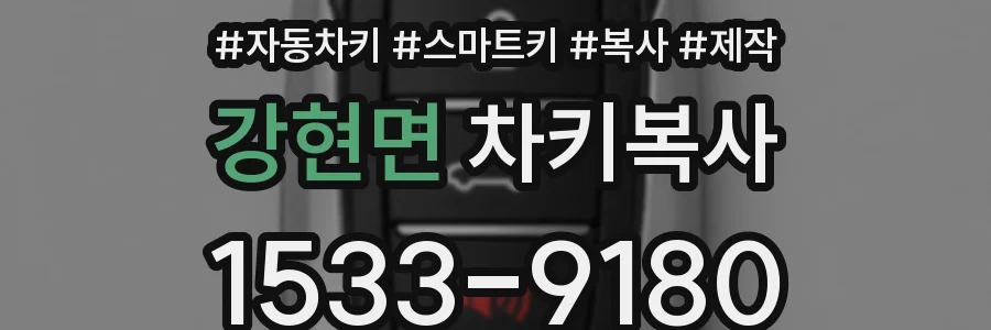 강현면 차키복사