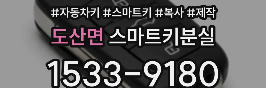 도산면 스마트키분실