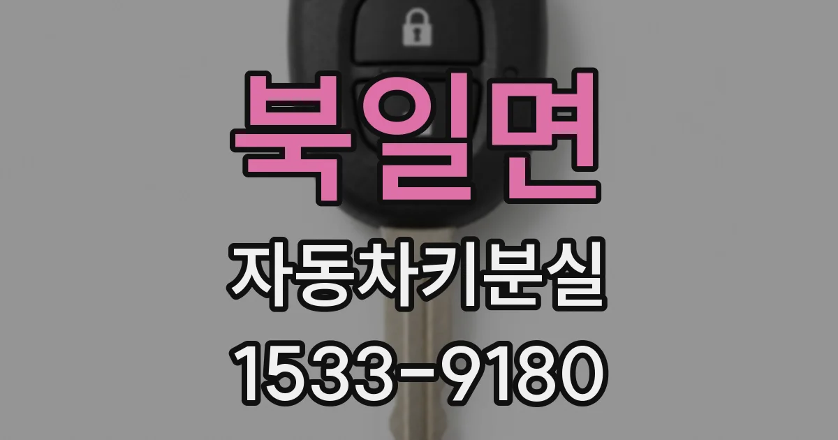 북일면 자동차키분실