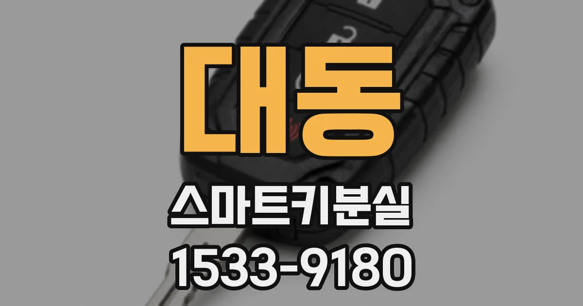 대동 스마트키분실