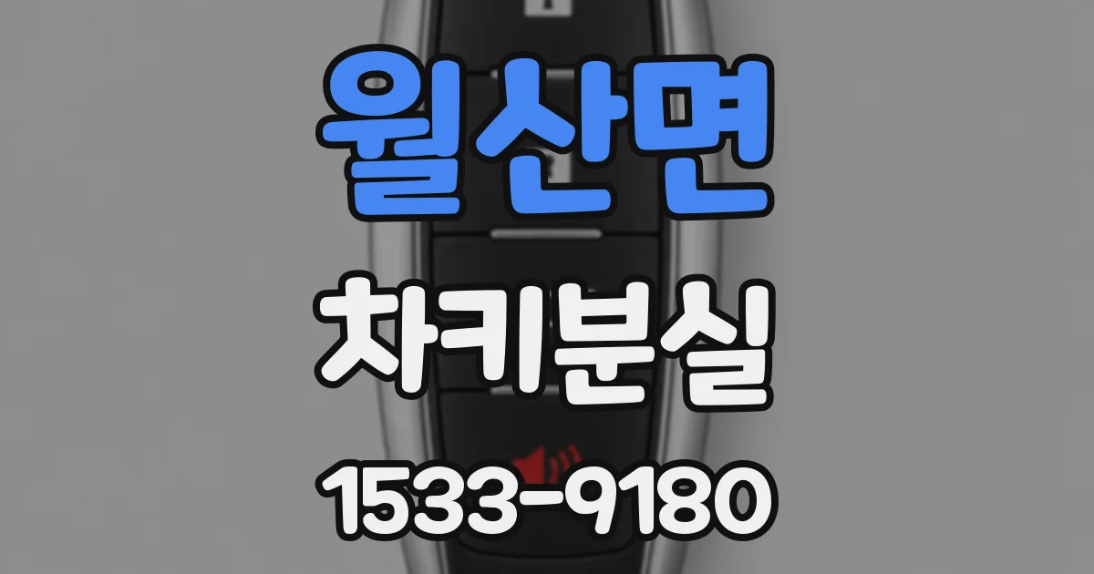 월산면 차키분실