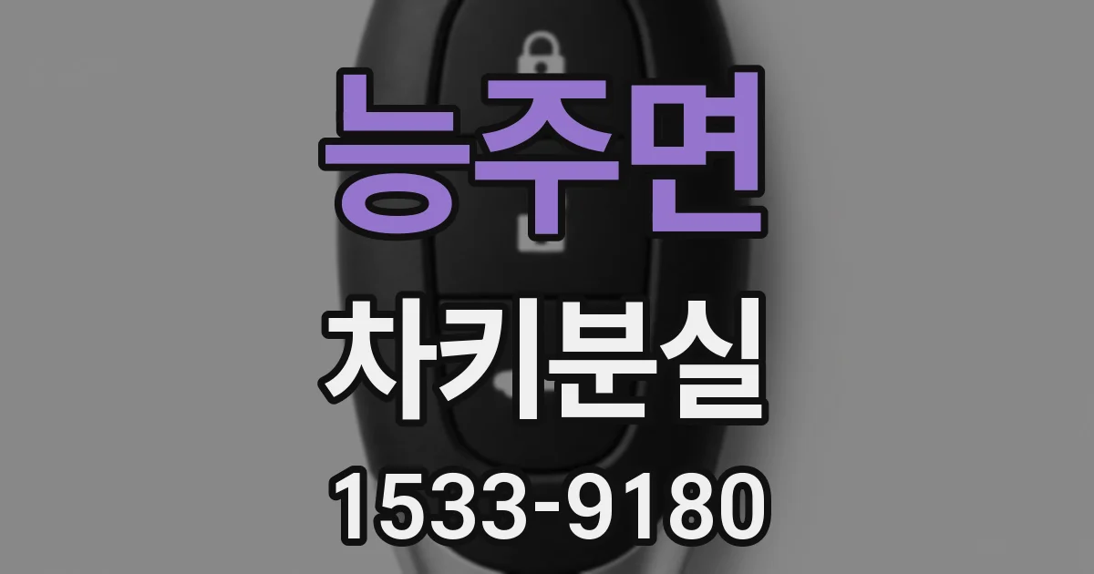 능주면 차키분실