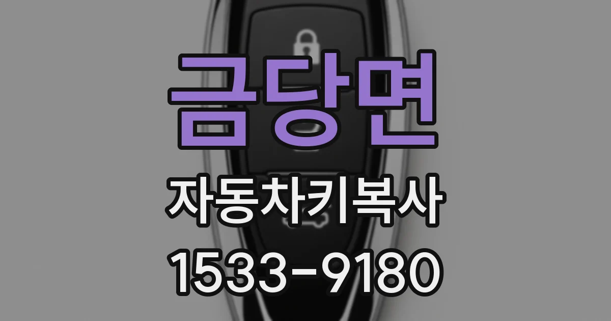 금당면 자동차키복사