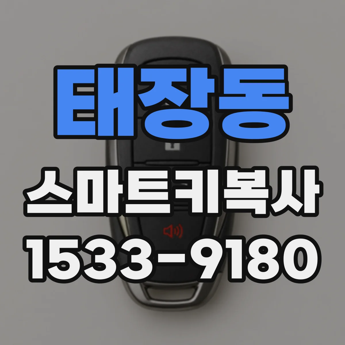 태장동 스마트키복사