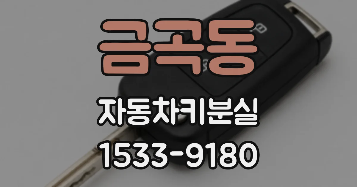금곡동 자동차키분실