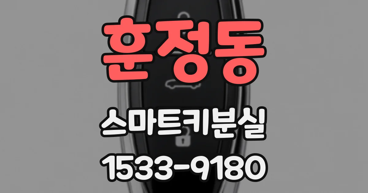 훈정동 스마트키분실