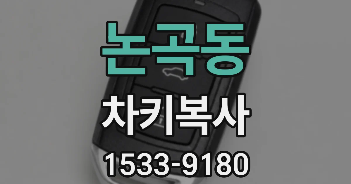 논곡동 차키복사