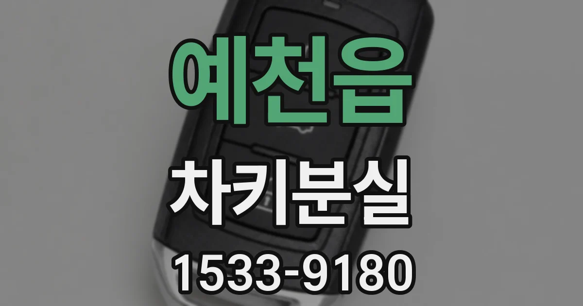 예천읍 차키분실