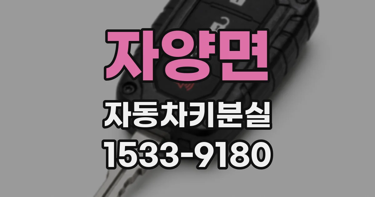 자양면 자동차키분실