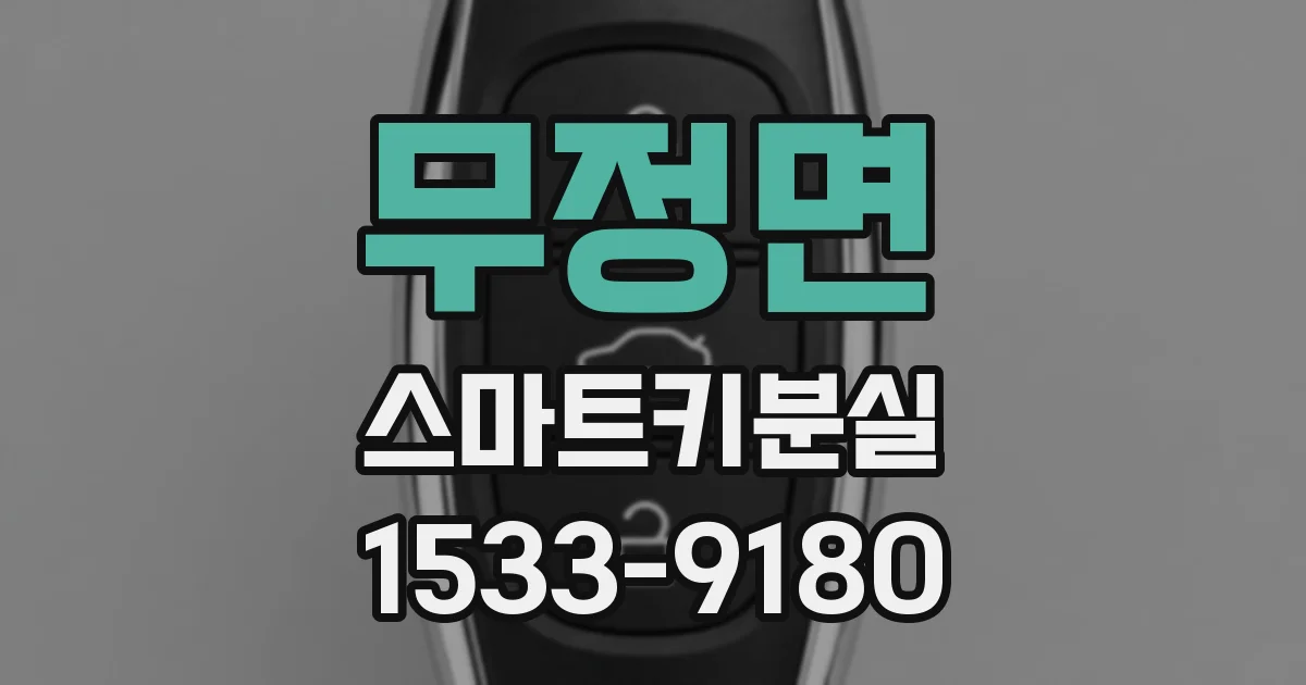 무정면 스마트키분실