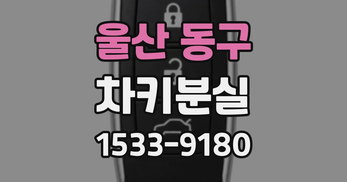 울산 동구 차키분실