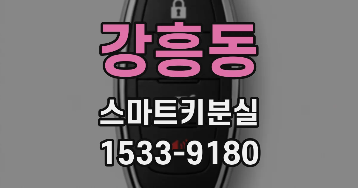 강흥동 스마트키분실