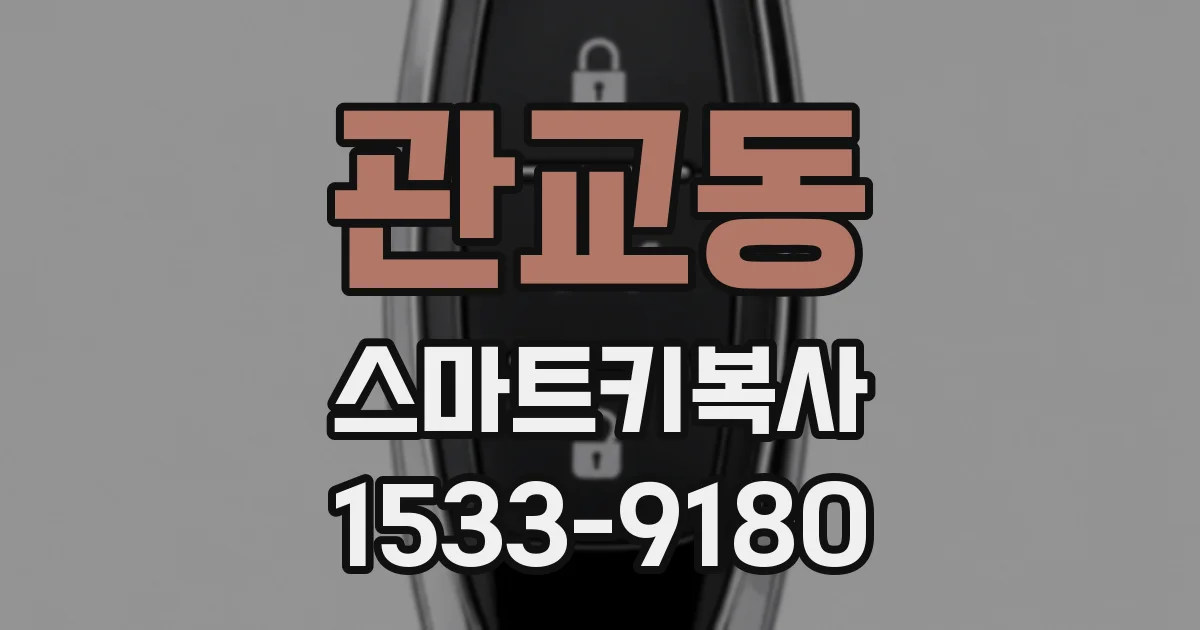 관교동 스마트키복사