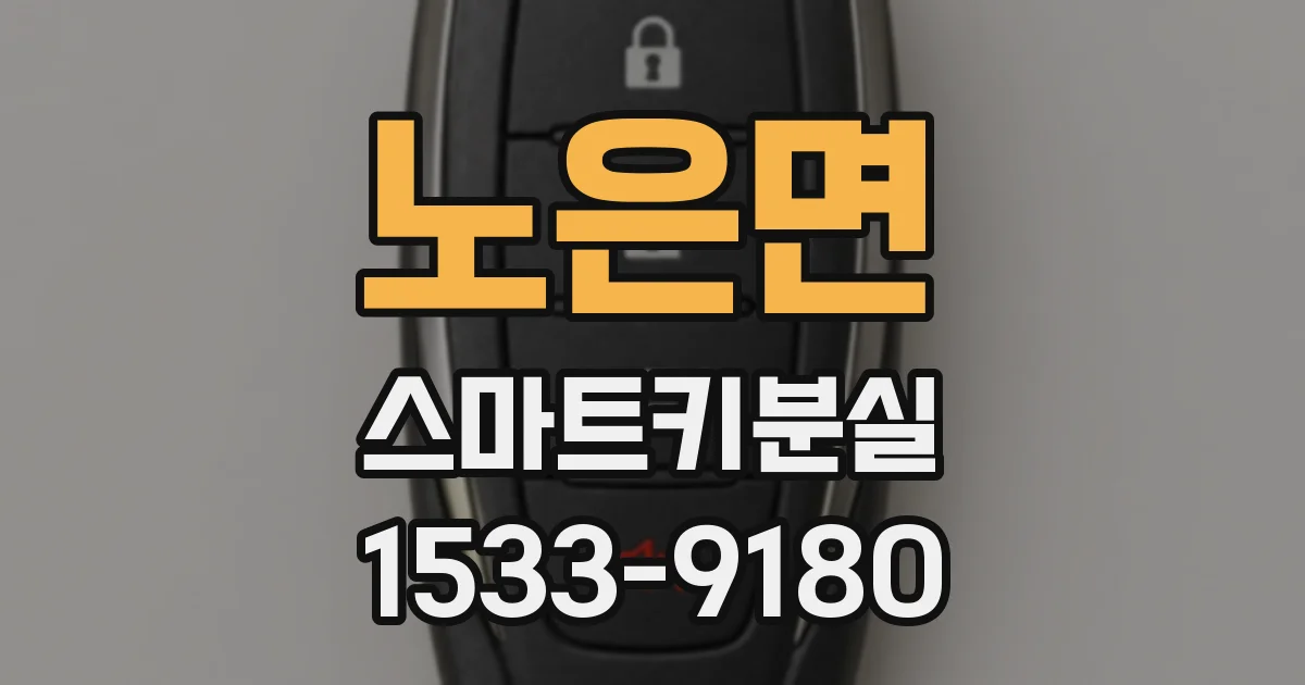 노은면 스마트키분실