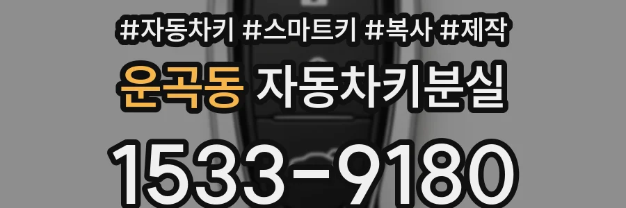 운곡동 자동차키분실