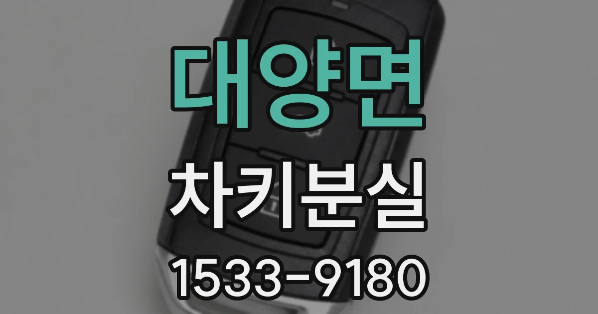 대양면 차키분실