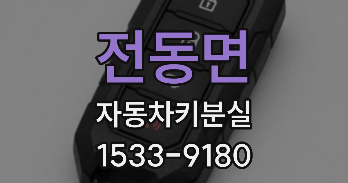 전동면 자동차키분실