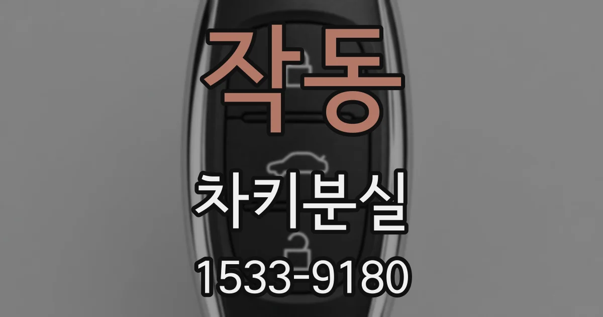 작동 차키분실