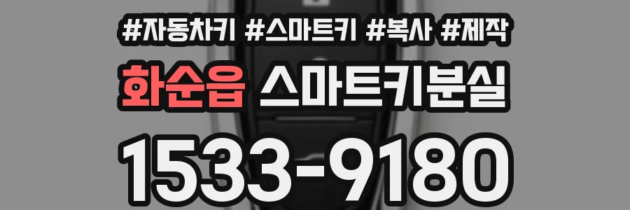 화순읍 스마트키분실