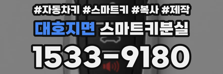 대호지면 스마트키분실